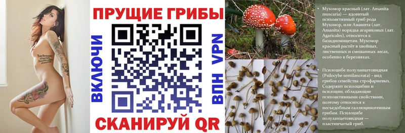 Псилоцибиновые грибы Magic Shrooms Афипский